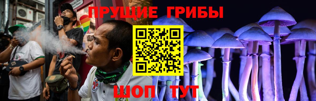 Псилоцибиновые грибы GOLDEN TEACHER  Вход с VPN  Уссурийск 